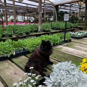 Meet your Posher, Christy